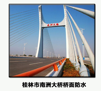 桂林南州大桥桥面防水